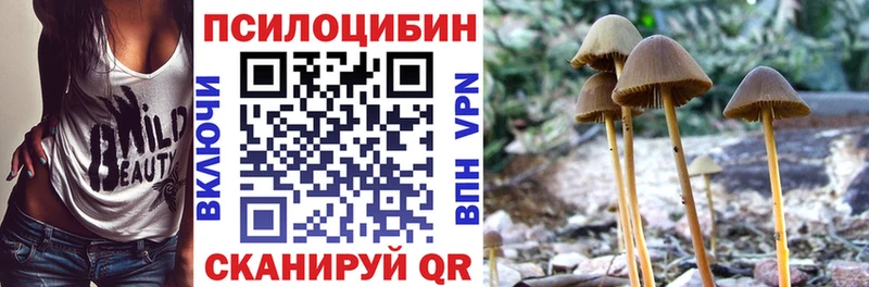 где купить наркотик  Удачный  Галлюциногенные грибы GOLDEN TEACHER 